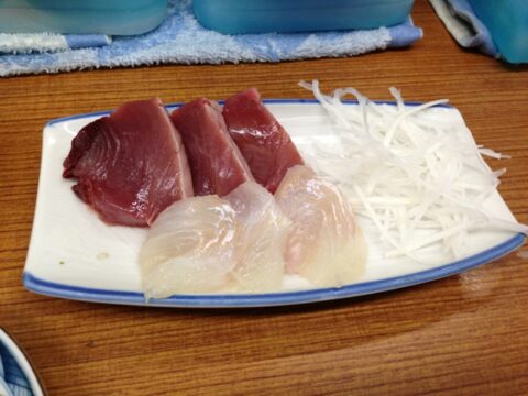 刺身 鰹 鮃