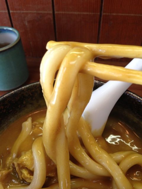 鯱乃家 カレーうどん 極太麺
