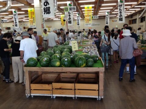 げんきの郷 産直野菜
