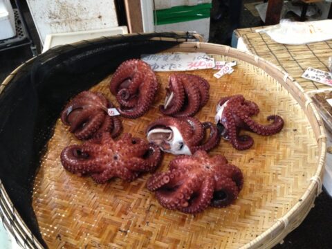 げんきの郷 タコぶつ切り
