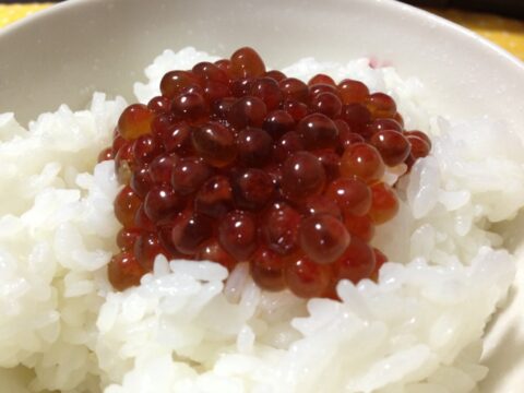 いくら丼と海鮮の食卓