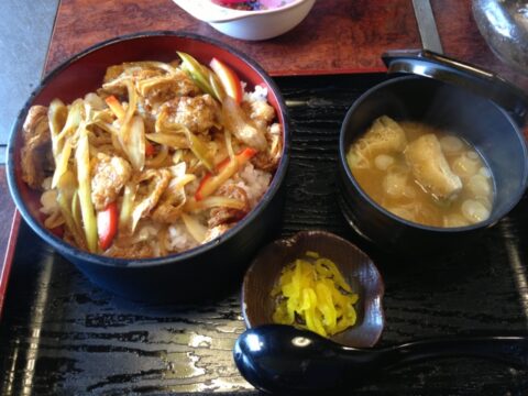 志のだ丼の具