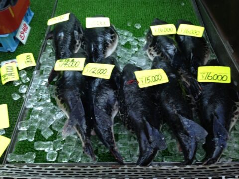 ふぐを扱うスーパー