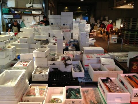 北部市場の鮮魚売り場