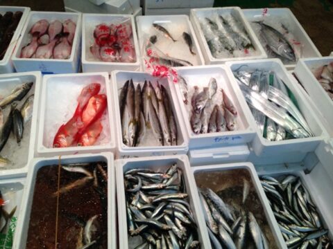 大久保商店の魚売り場