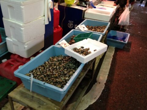 丸京水産の売り場