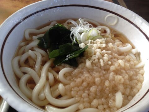 かかしカレーセットのうどん