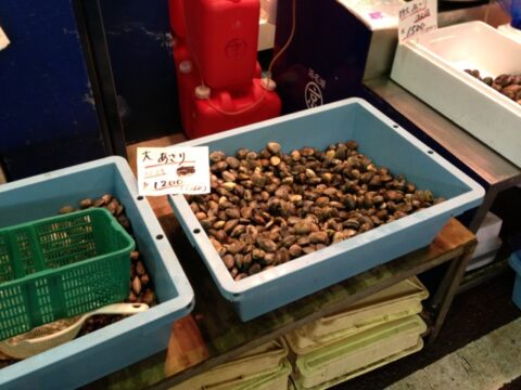 丸京水産の貝類