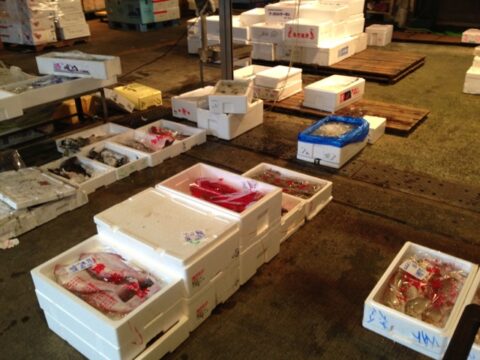 マグロへの情熱を書いた掲示