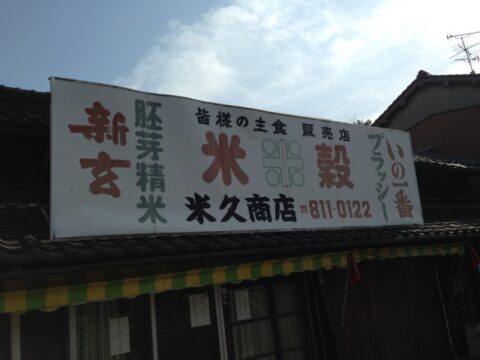 ゆたかや本店の山菜うどん