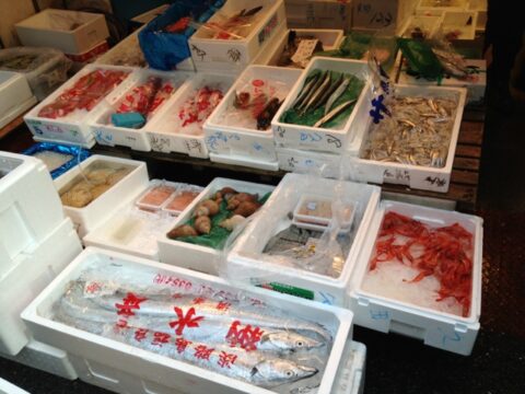 丸二久田商店の甘エビ