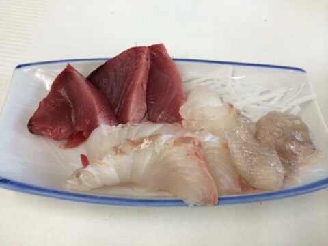 カツオとヒラメの刺身