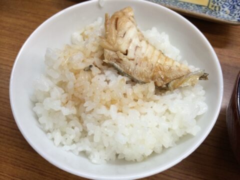 柳橋中央市場の魚源食堂の店内