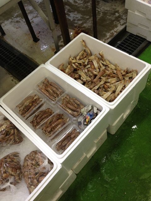 マルナカ食品センター内の天末食堂周辺