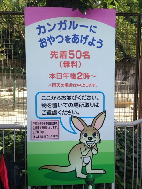 カンガルーのおやつイベント案内