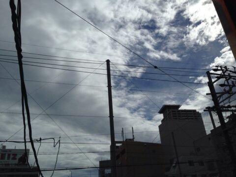 台風一過の柳橋中央市場
