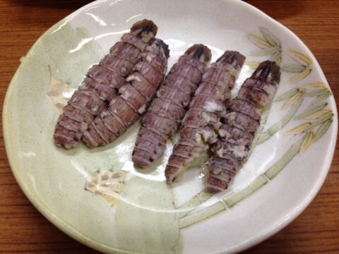 魚源食堂の蝦蛄