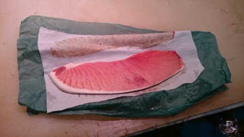 柳橋中央市場のマグロ売場