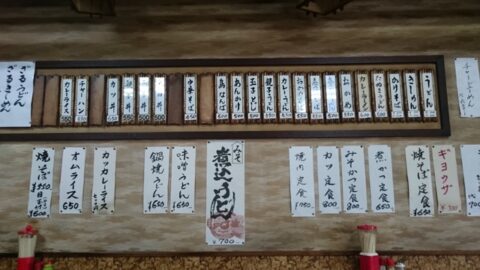 玉の家のギョウザセット