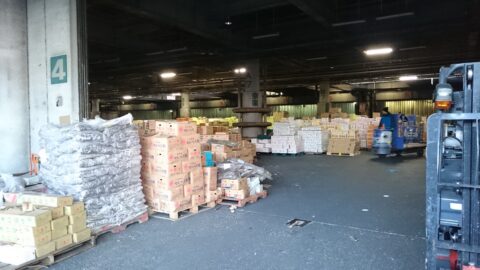 京都中央卸売市場の野菜売場