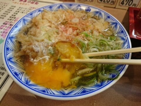 かきつばたの天つまのかき揚げ