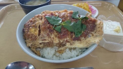 ホットシェフの市場食堂の食事