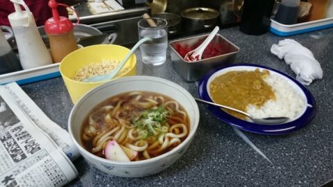 しのだのカレー