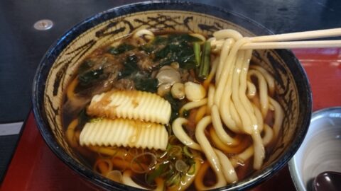 具の入った手打ちうどん一八のうどん