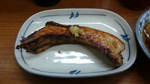 魚源食堂の氷見の天ブリ塩焼き