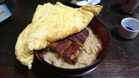 京極かねよのきんし丼