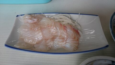 食堂魚源のヒラメ刺身