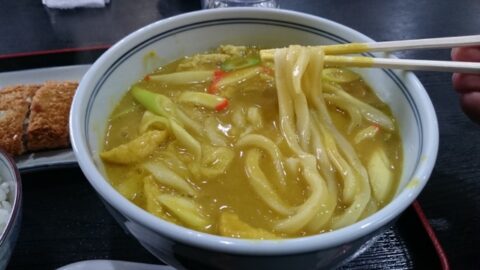 油揚げとかまぼこ入りのカレーうどん