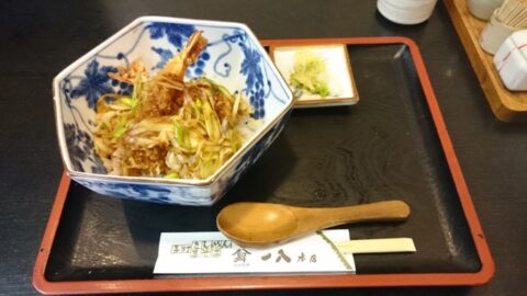 一八本店の天南丼