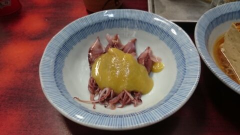 江戸川のホタルイカ