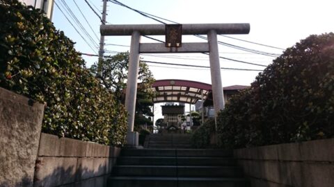 築地場内市場での待ち合わせ前の風景