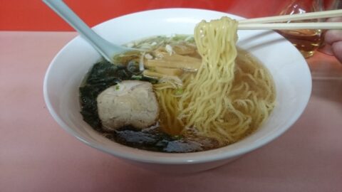 一休のシンプルな麺とスープ