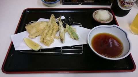 天房の天つゆと天ぷら