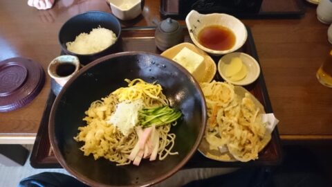 竹ひろの冷やしたぬき定食