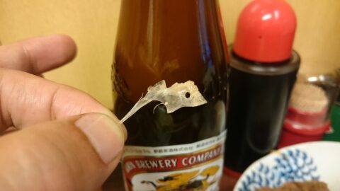 食後の皿とビール瓶