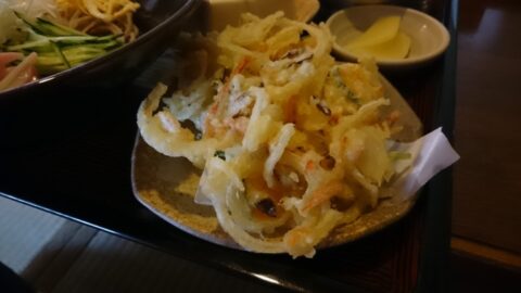 冷や奴とかき揚げ