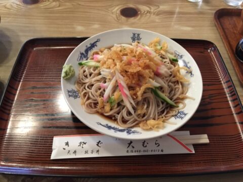 大むらの冷やしたぬき