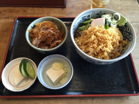 冷やしタヌキとミニ牛丼セット