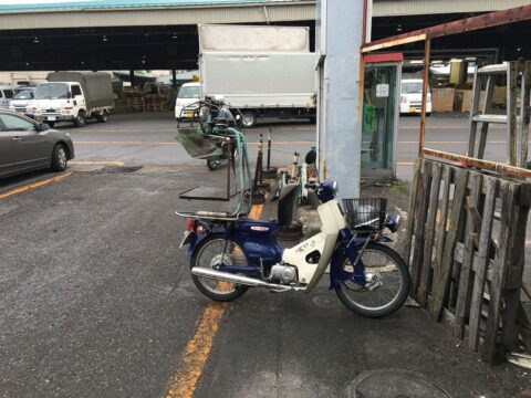66365dc7.jpg