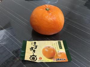 bc1a5df7.jpg