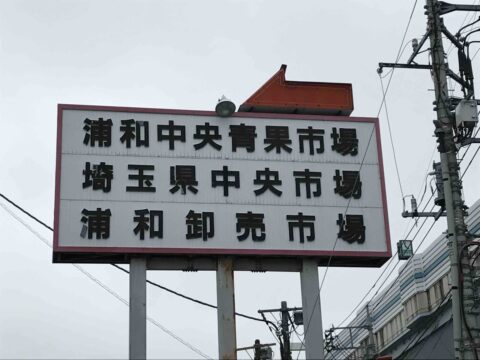 02063161.jpg