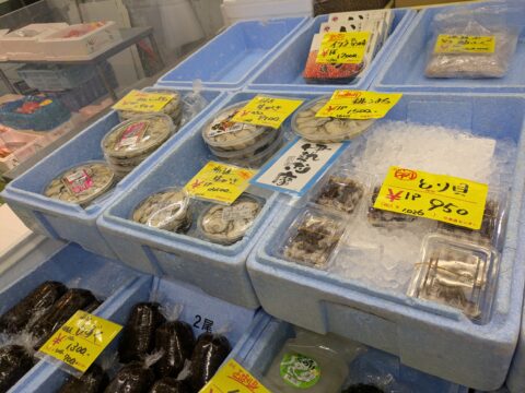 柳橋中央市場 鳥貝