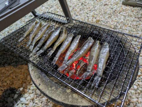七輪 メヒカリ一夜干し 晩酌 名古屋