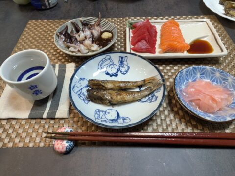 鳥貝 生本鮪 晩酌 七輪