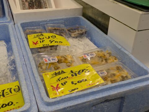 柳橋中央市場の鳥貝と鮮魚の陳列ケース