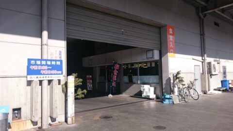 13ec3579.jpg